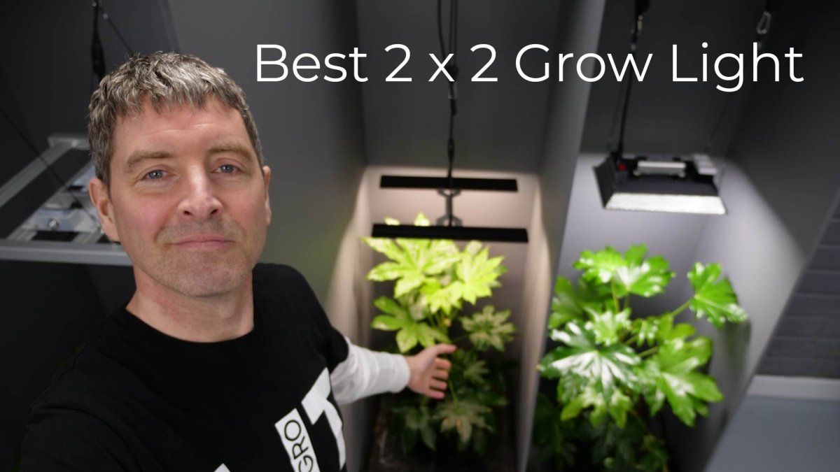 The 11 best small grow light for a 2 x 2 or 0.6m x 0.6m grow tent