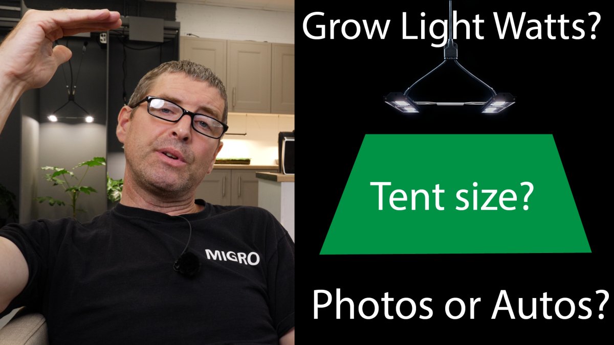 Grow 2025 light wattage
