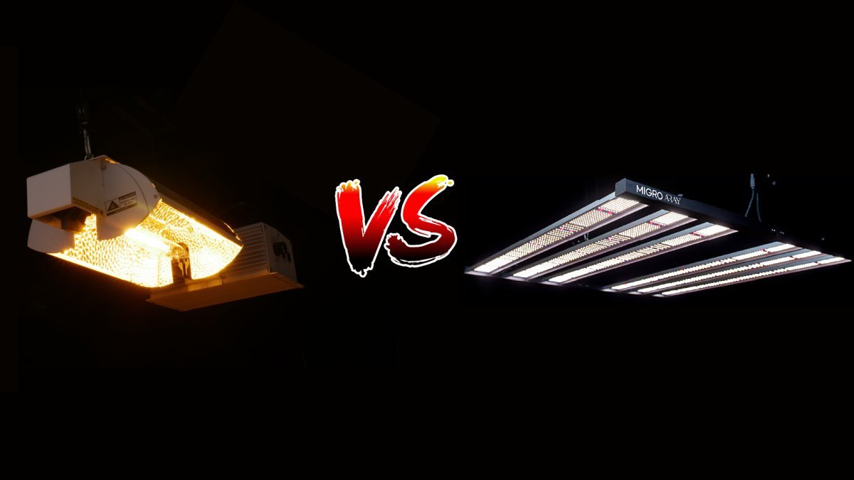 led grow light equivalent to 600w hps