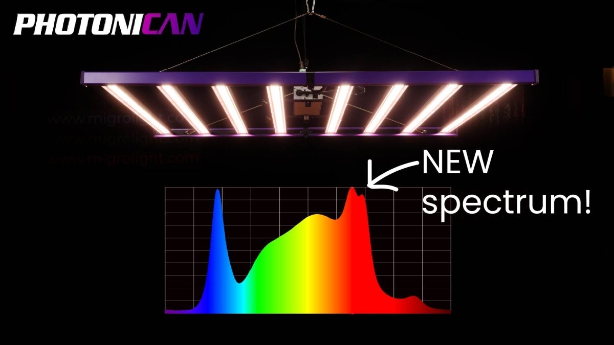 Photonican Aurora 820W pro LED grow light review – MIGROLIGHT