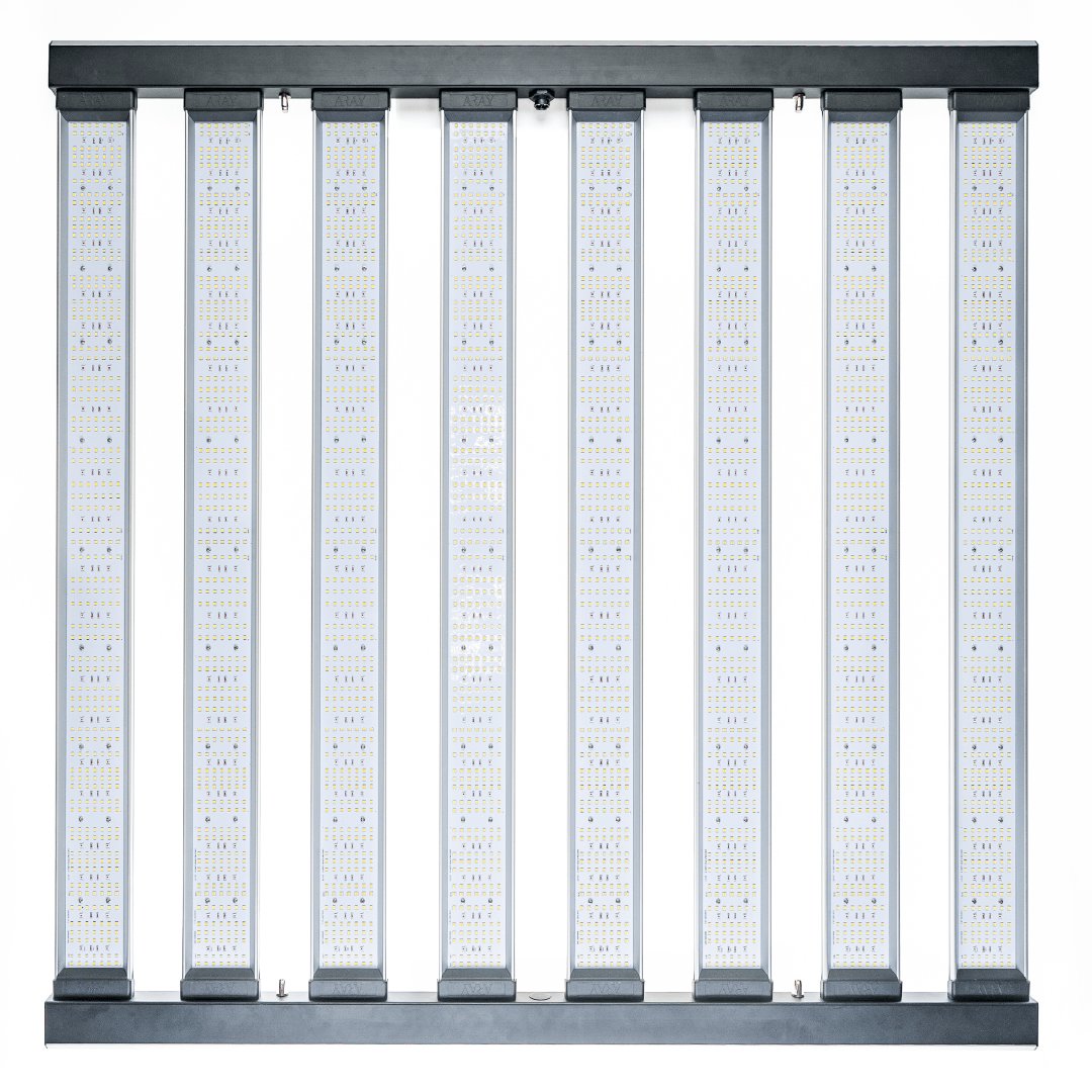 Energy Efficient grow lights MIGROLIGHT