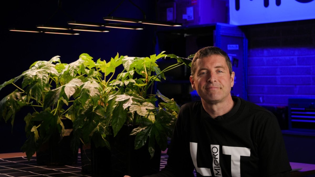 How to make a grow light par map with a lux meter or PAR meter app ...