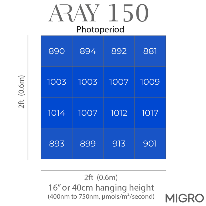 MIGRO ARAY 150 - MIGROLIGHT