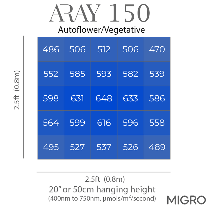 MIGRO ARAY 150 - MIGROLIGHT