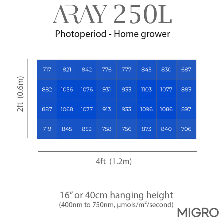 MIGRO ARAY 250L - MIGROLIGHT