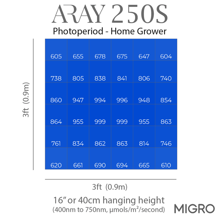 MIGRO ARAY 250S - MIGROLIGHT