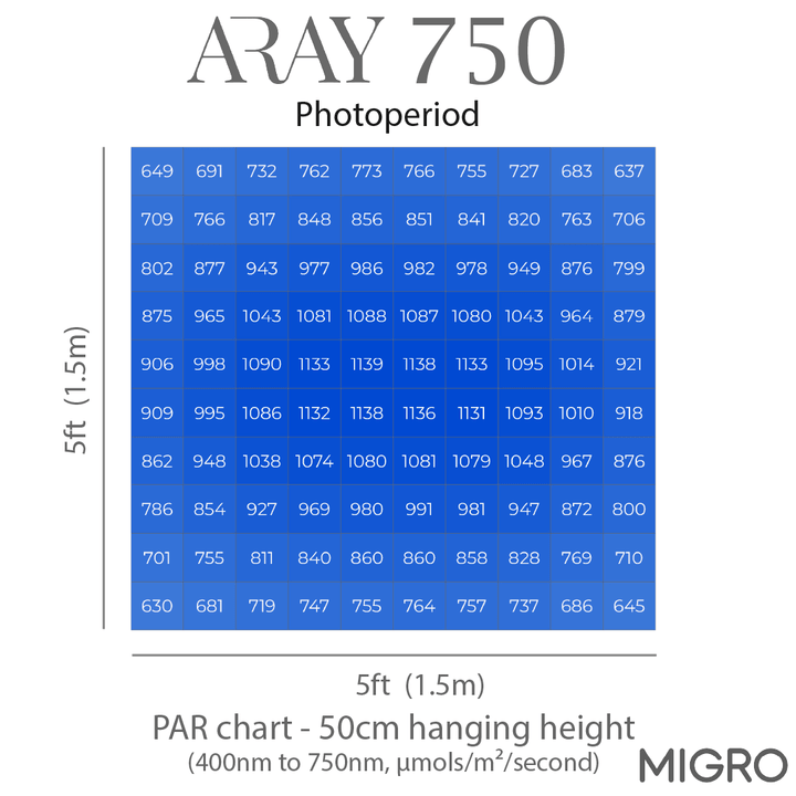 ARAY 750 & 2 x INTRA 160 package - MIGROLIGHT