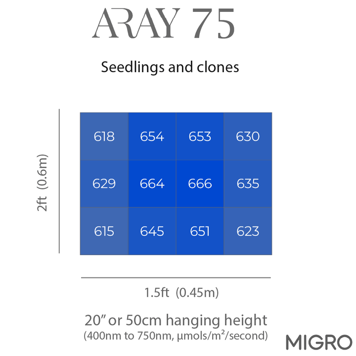 MIGRO ARAY 75 Seedling - MIGROLIGHT