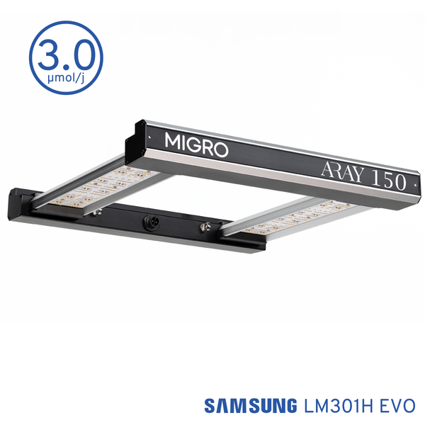 MIGRO ARAY 150 - MIGROLIGHT