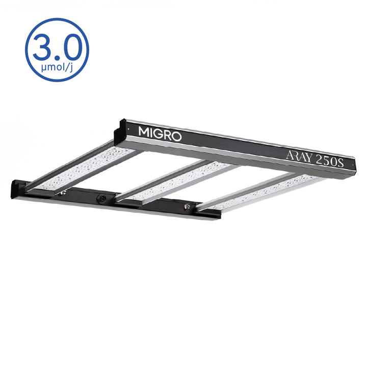 MIGRO ARAY 250S - MIGROLIGHT