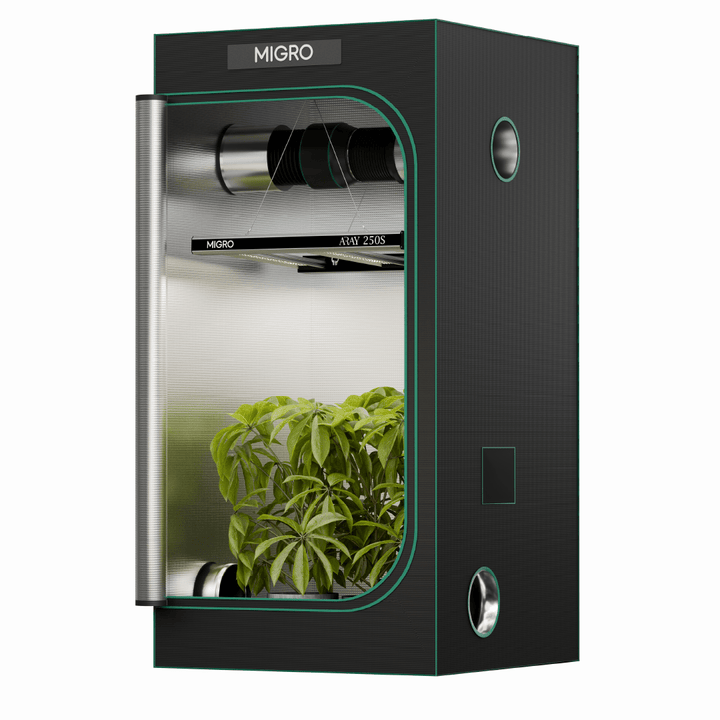 The MIGRO ARAY 250S is the optimum solution for a 3ft x 3t or 90cm x 90cm grow tent for photoperiod flowering cannabis plants or a 4ft x4ft or 120cm x 120 cm grow space for Autoflowering cannabis plant