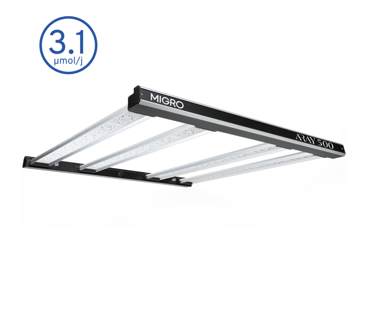 MIGRO ARAY 500 - MIGROLIGHT