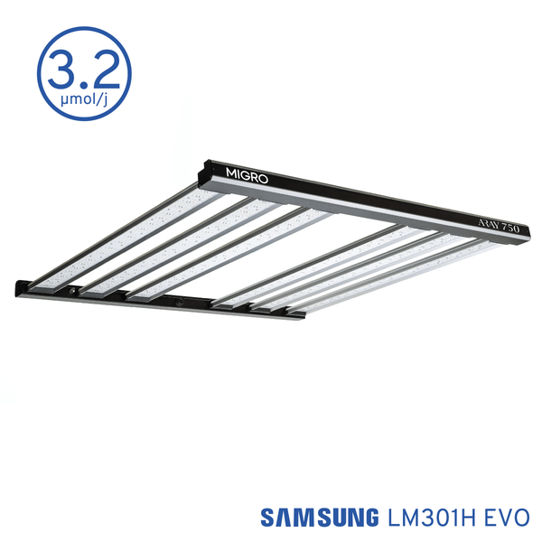 ARAY 750 & 2 x INTRA 160 package - MIGROLIGHT