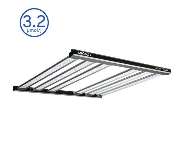 MIGRO ARAY 750 - MIGROLIGHT