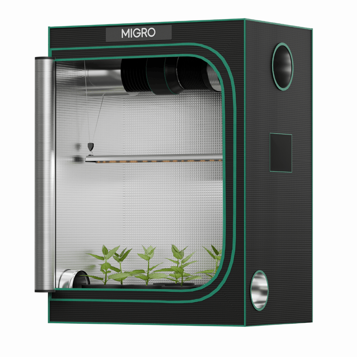 MIGRO ARAY 75 Seedling - MIGROLIGHT