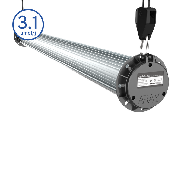 MIGRO ARAY Intra 160