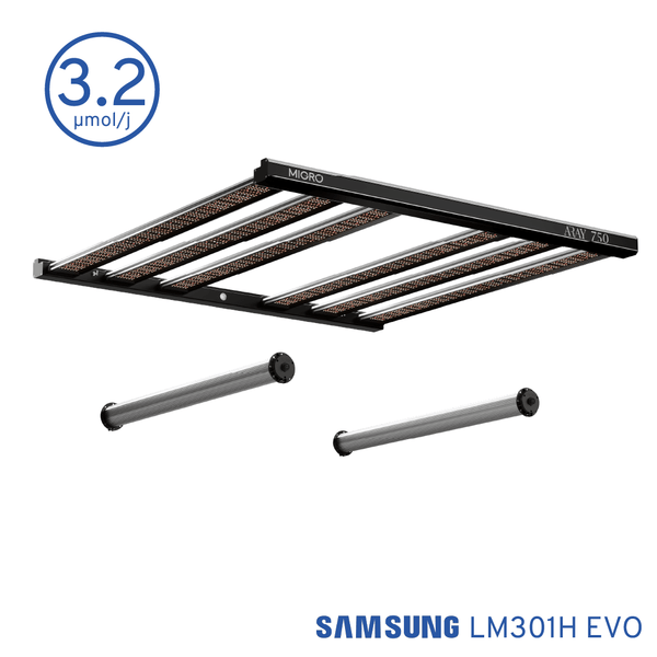 ARAY 750 & 2 x INTRA 160 package - MIGROLIGHT