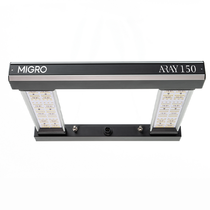 ARAY 150 LED grow light video