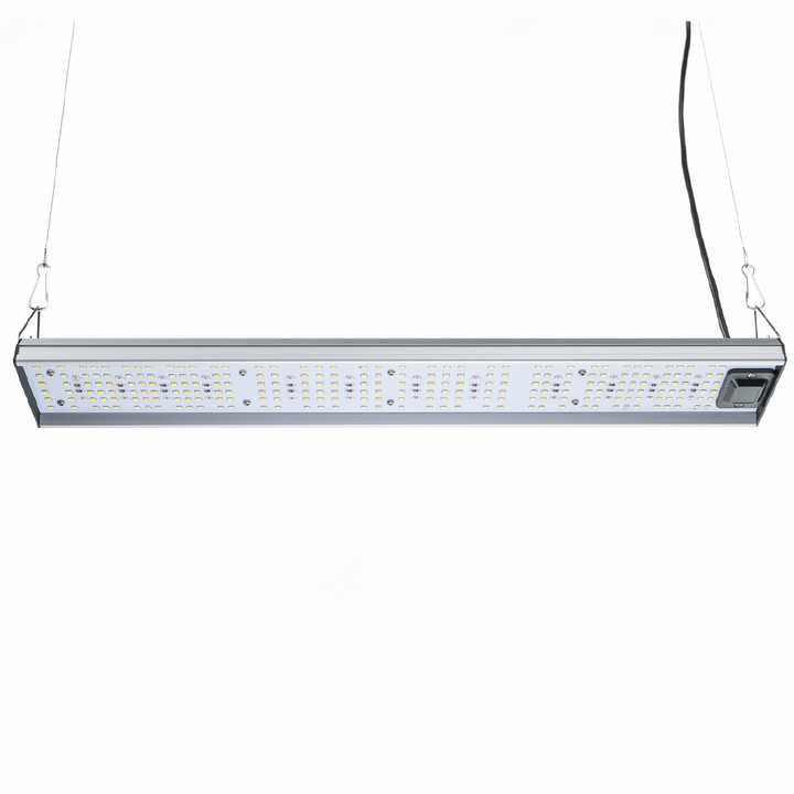MIGRO ARAY 75 seedling light video