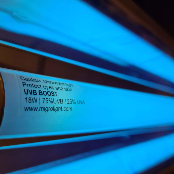 MIGRO UVB 310 fluorescent tube - MIGROLIGHT